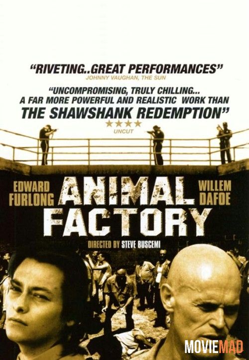 Animal Factory 2000 Hindi Dubbed BluRay Full Movie 720p 480p