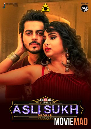 Asli Sukh Dhokha S01 2021 Complete Hindi BigMovieZoo Originals Web Series 720p 480p