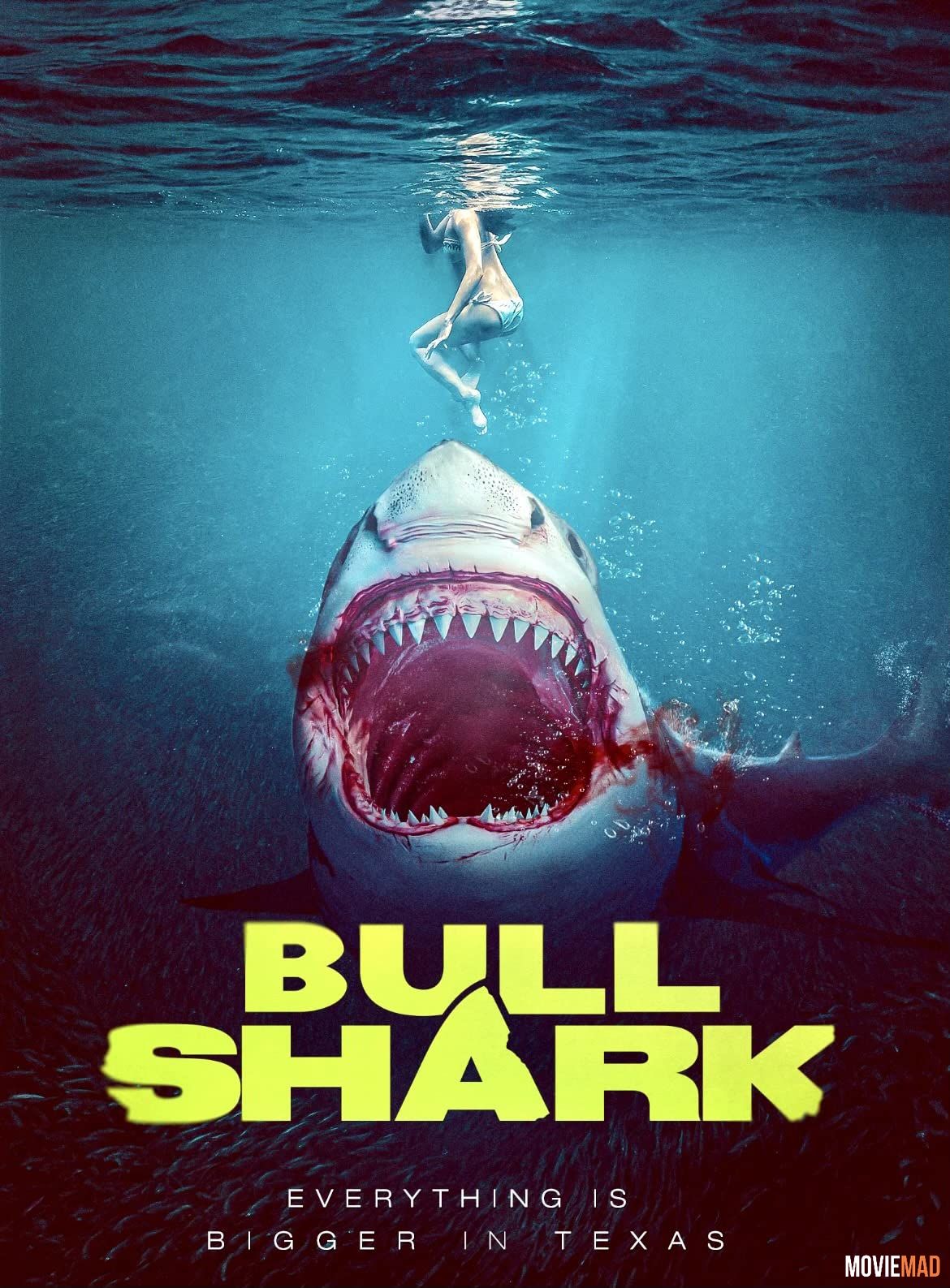 Bull Shark (2022) Bengali (Voice Over) Dubbed WEBRip Full Movie 720p 480p