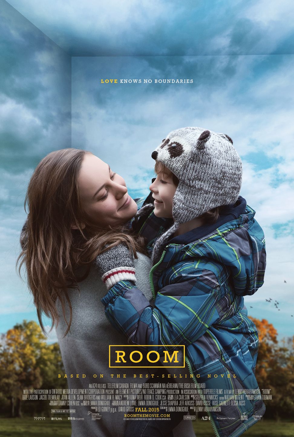 Room (2015) Hindi Dubbed BluRay