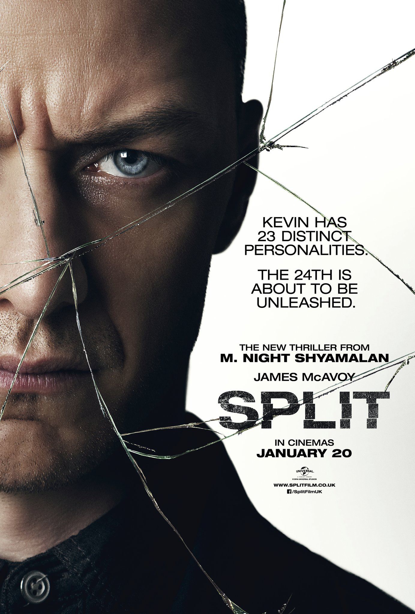 Split (2016) Hindi Dubbed BluRay