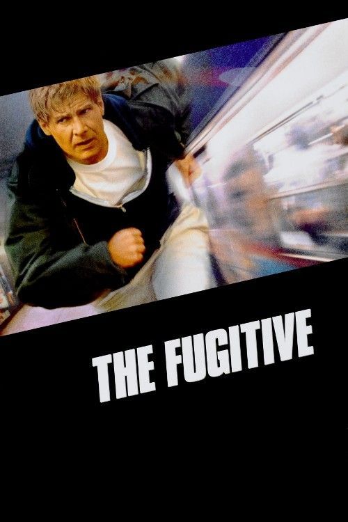 The Fugitive (1993) Hindi Dubbed ORG Full Movie BluRay