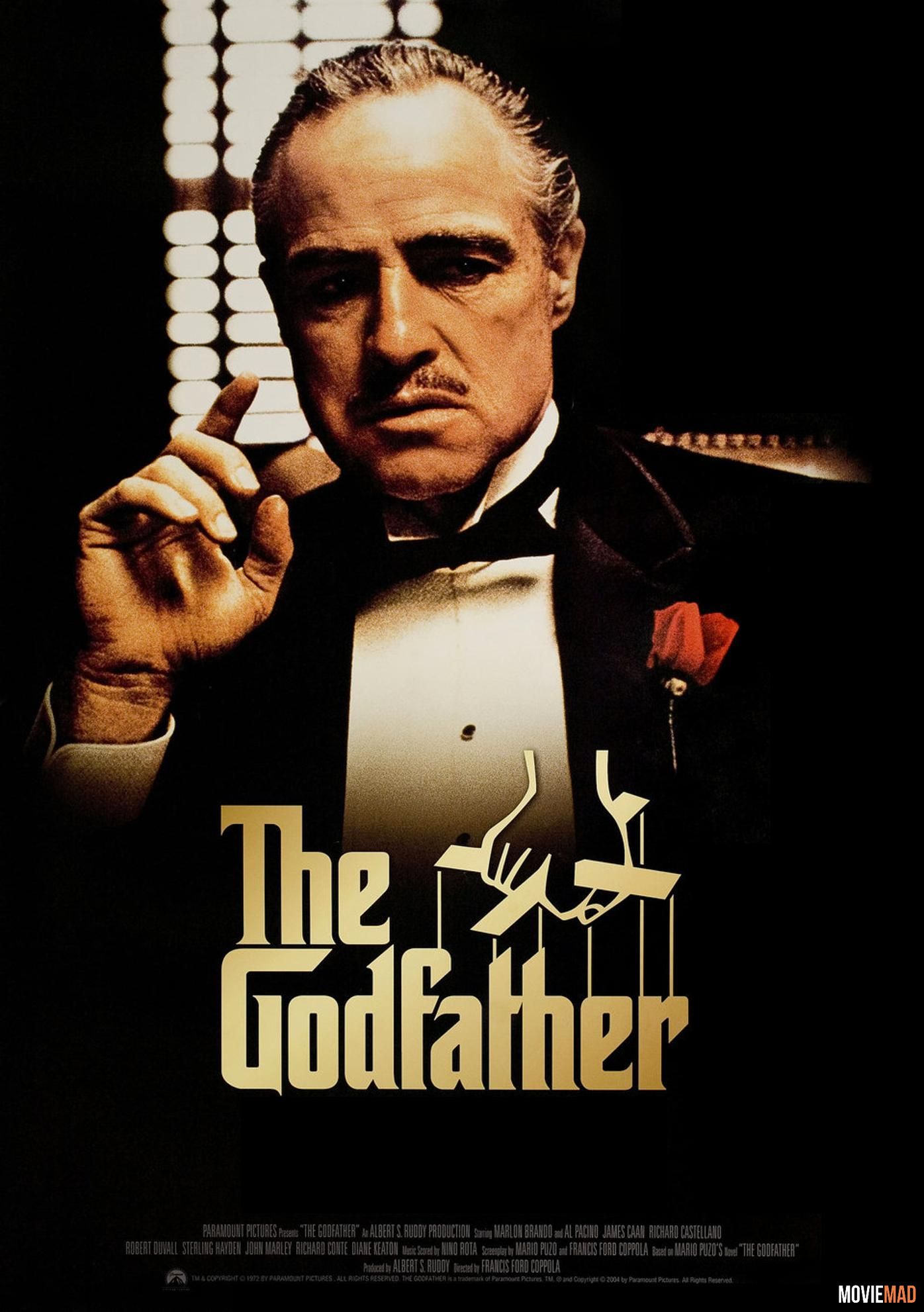 The Godfather 1972 Hindi Dubbed BluRay Full Movie 720p 480p