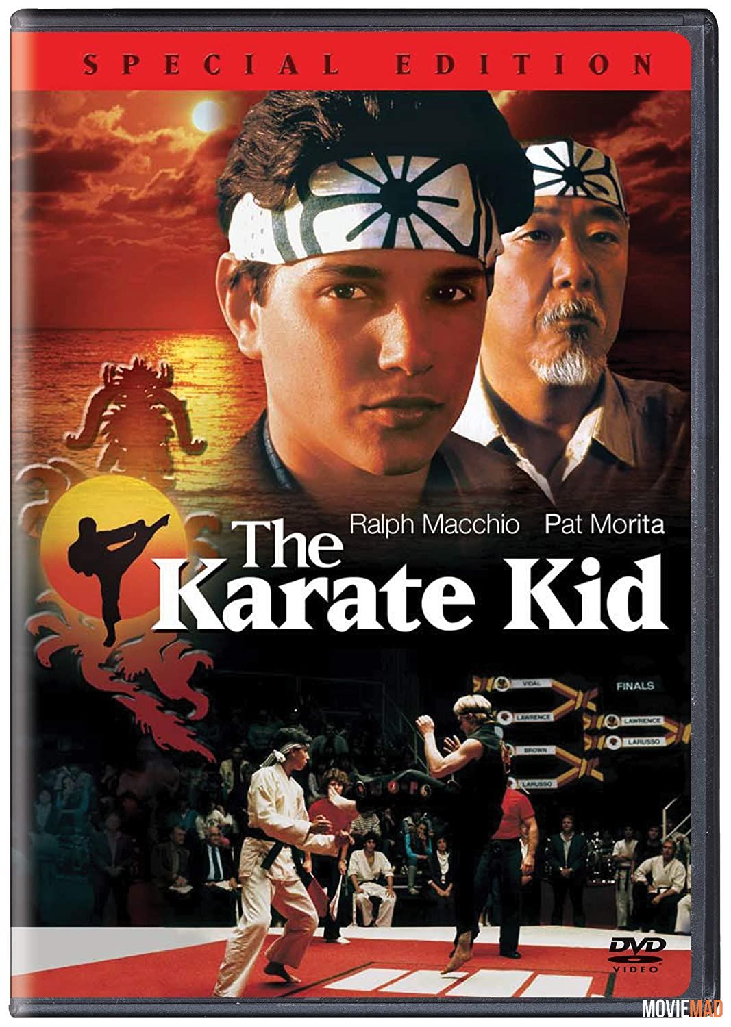 The Karate Kid 1984 Hindi Dubbed BluRay Full Movie 720p 480p