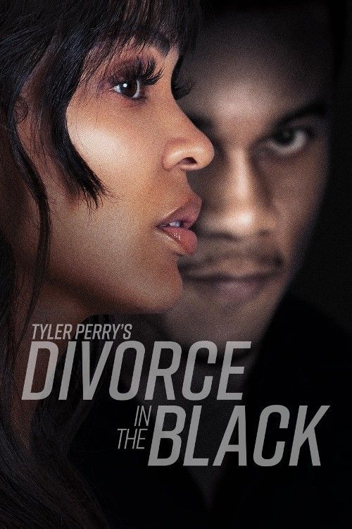 Tyler Perrys Divorce in the Black 2024 Hindi Dubbed ORG Full Movie HDRip